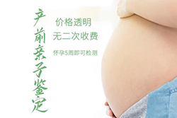 遵义胎儿如何做亲子鉴定，遵义无创孕期亲子鉴定收费标准